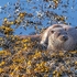 DO-01-Oban, Argyll