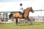 SBM_09027