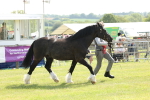 SBM_02346