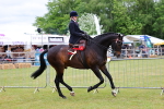 SBM_02881