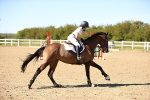 SBM_003378