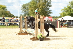 SBM_41319