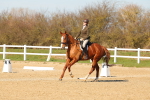SBM_003449