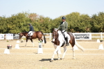 SBM_017453