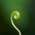 3rd August Spiral
