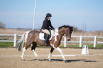 SBM_002162