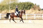 SBM_019305