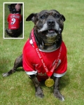 Liverpool Supporter