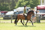 SBM_07015
