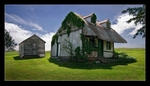 The Old Homestead