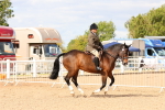 SBM_15489