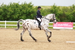 SBM_005925