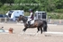 BPP_7168