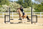 SBM_007557