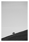 Meall  a' Mhadaidh
