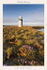 Derby Haven Breakwater