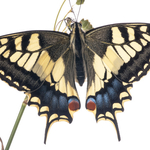 ITA_PHD_20111004-014