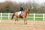 SBM_006780