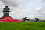 280726-Race 5-Norcross Brow-4789