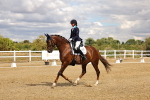 SBM_006487