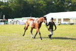 SBM_10795