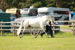 SBM_01707