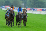 080925-Race 5-Elmonjed-9408