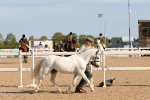 SBM_17676