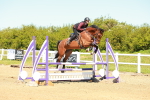 SBM_000554