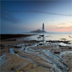 Misty Horizon