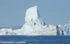Iceberg