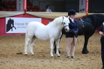 SBM_16794
