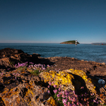 Penmon Point