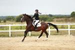 SBM_005091