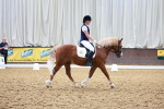 SBM_008994