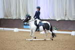 SBM_000393
