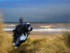 PP7  Running free - Tibetan Terrier