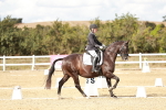 SBM_011246