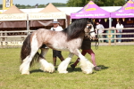 SBM_08877