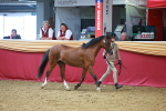 SBM_04205