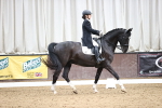 SBM_007113
