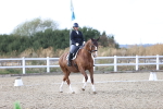 SBM_016052