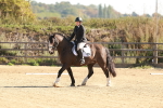 SBM_009260