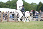 SBM_17166