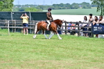 SBM_15289