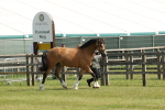 SBM_02077
