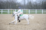 SBM_004388