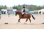 SBM_18334