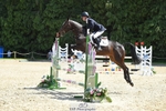 320-CAVALIER_GUNFIRE-Tabitha_Baker-SUNTrotUp+SJ portfolio