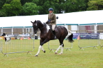 SBM_02642